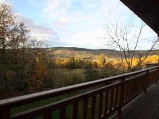 Charmant chalet 3 chambres avec terrasse proche Alsace - FR-1-589-112 - 8