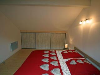 Charmant chalet 3 chambres avec terrasse proche Alsace - FR-1-589-112 - 2