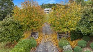 Eagles Rise - Classically Designed Country Home - Berry - 7