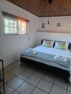 Tropical Dream Farm - Vouzela - 8