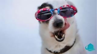 2B at Swansea cosy cottage, outdoor pet friendly - 8