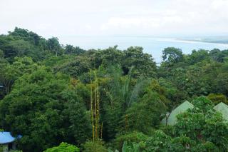 Hotel Planeta Sano - Manuel Antonio - 9