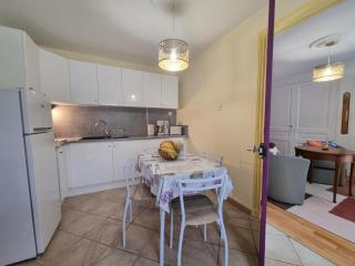 Appartement spacieux avec cour, tout confort au cœur de Roanne - FR-1-496-330 - Roanne - 5