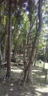 Sarari - Vacation STAY 66365v - Ichihara - 8
