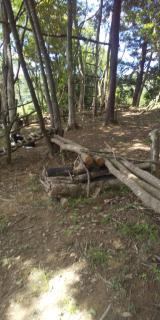 Sarari - Vacation STAY 66365v - 6