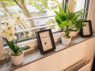 Noble Studio - 1 Min to HBF - 6