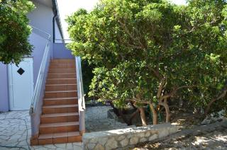 Apartman Smokvica II - 6