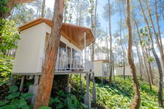 La Pino Mount Batur and Hot Spring - 6