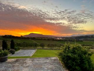 Moya's Vineyard - Mosselrivier - 6
