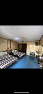 Hotel Puerto Vallarta - 5