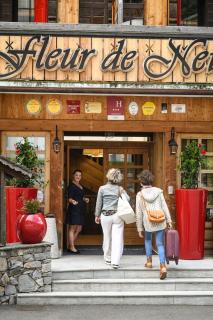 Fleur De Neige Châtel - Châtel - 7