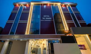 Treebo Taj Square, 10 Mins From Airport - 9