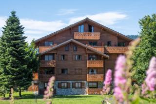 Résidence Pierre & Vacances Premium Les Fermes Du Soleil - Les Carroz d'Arâches - 9