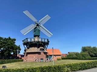 Miller Kunterbunt - Edewecht - 3