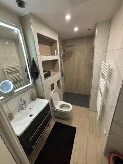 Petit appartement T2 confortable - Lancrans - 0