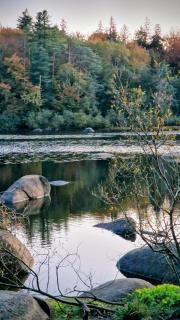 Chambre d'hôtes dans un chalet -Tarn - 4