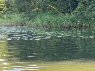 Apartament na wodzie - Houseboat - Lubieszewo - 6