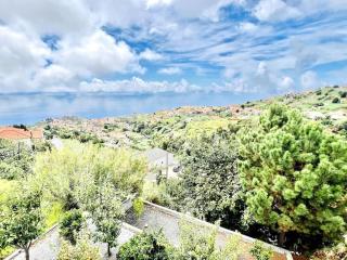Casa Amarela by Your Madeira Rentals - 9