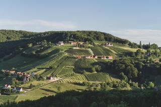 Pfeifer Weingut - - 9