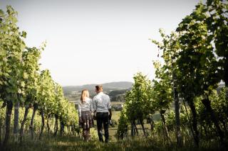 Pfeifer Weingut - - 7