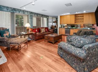 Scorpio 103 condo - 9