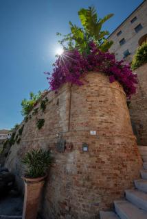 Casa Pazzi Dimora d'Epoca - Grottammare - 7