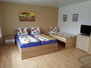 1-Zi Fewo Rankwitz,Usedom - Rankwitz - 8