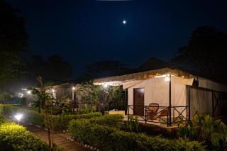 Sariska Tiger Heaven - 8
