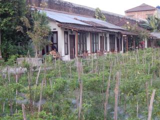 Rosella Cottages - Homestay - Yogyakarta - Yogyakarta - 6