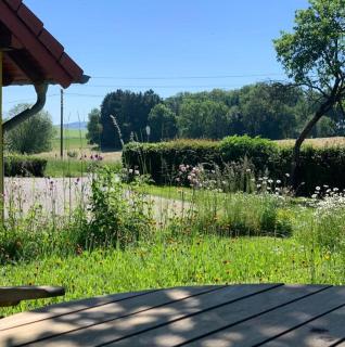 Urlaub mit Hund auf dem Bauernhof Hofswald - Euscheid - 1