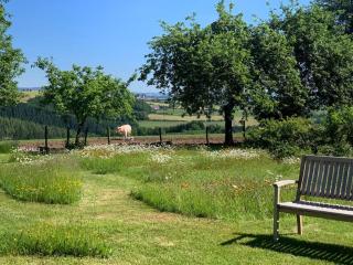 Urlaub mit Hund auf dem Bauernhof Hofswald - Euscheid - 5