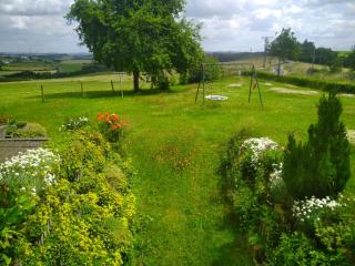 Urlaub mit Hund auf dem Bauernhof Hofswald - 4
