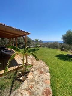 Suzi's Tiny Houses - Mesudiye - 5