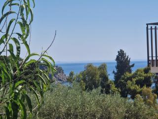 Style Homes Caminia - Montepaone Lido - 4