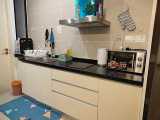 ZUNCY T21,T23 , walk to Legoland, Medini, Bukit indah - Nusajaya - 3