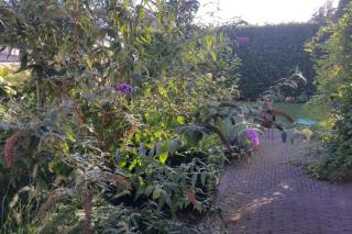 Casa Sibbe with beautiful view - 9