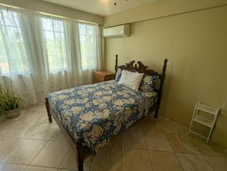 Free Airport Pickup - Charming 1-Bedroom Apt #1 - 5 Mins to SGU - True Blue - 5