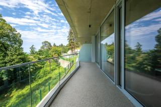 Green Cape Botanico - Batoemi - 7