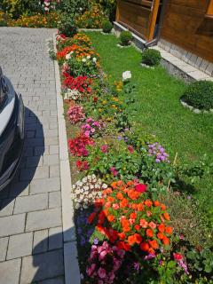 Guesthouse Sandra - 8
