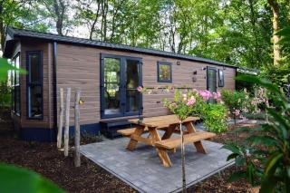 Gezellig vakantiechalet in bosrijke omgeving op de Veluwe - Epe - 0