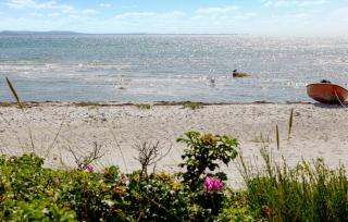 Lovely Apartment In Nykøbing Sj - Lumsås - 9