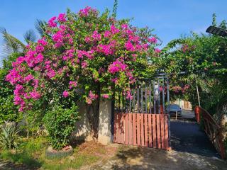 Homestay Sen & Zen Villa Vũng Tàu - Vung Tau - 4