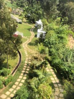 Ole Sidai Riverine Gardens - Karatina - 5