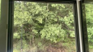 Apartament Zielony Gaj Ustroń Wczasowa 90 - 1