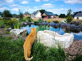 La Petite Eole - Déco 70's, Entre Rouen et Dieppe - 7