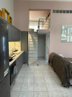 EliasNest Evterpi - Διαμέρισμα με σοφίτα και κήπο στο κέντρο της Καλαμάτας - 8