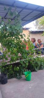 Elay Guest House - Kazarman - 4