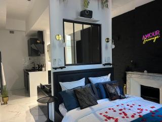 Amour Sauvage-Love Room****, Centre-Historique - Avignon - 1