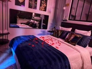 Amour Sauvage-Love Room****, Centre-Historique - Avignon - 8