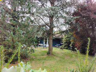 Hochwald chalet - Bad Sachsa - 8